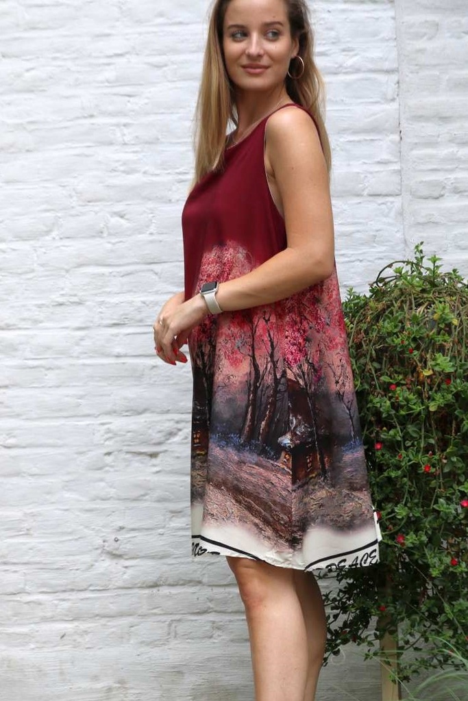 Dress Moos forest with house nm100 - Bordeaux-bruin Detail