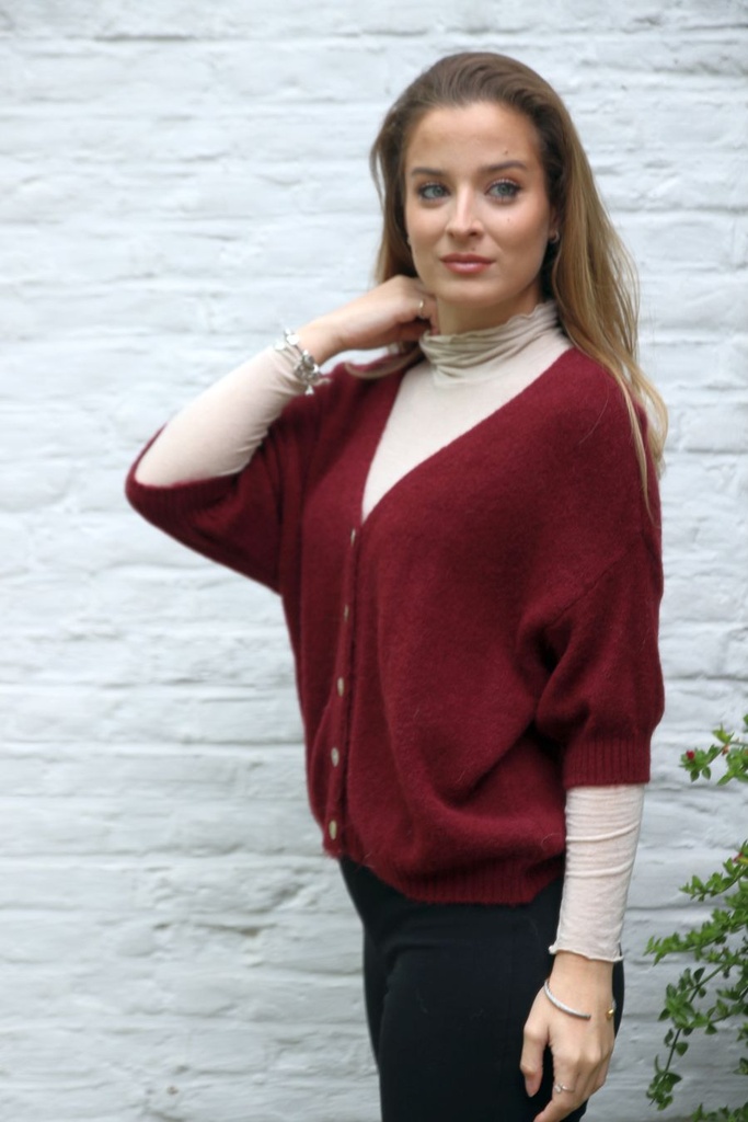 [10017285] Alpaga vest Laurie nm25 V-hals 5 nacre knopen - Bordeaux Detail