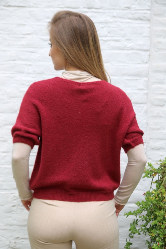 Pul Lieneke nm25 V-hals Amerikaanse mouwinzet - Bordeaux Detail