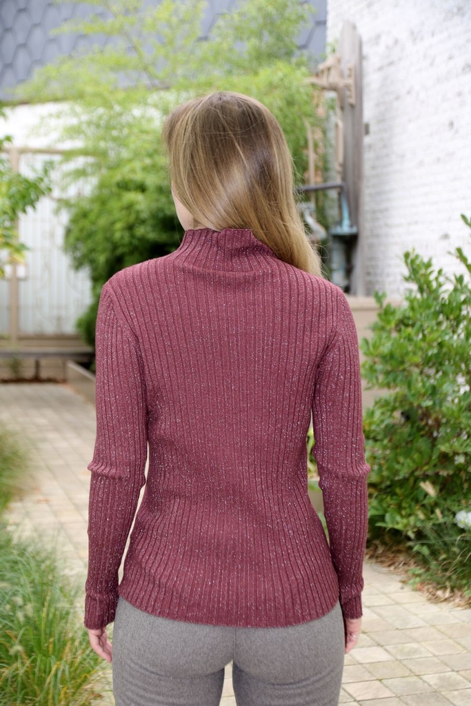 [200690] Pull Noe nm45 glinsterend opstaande kraag - Aubergine Detail