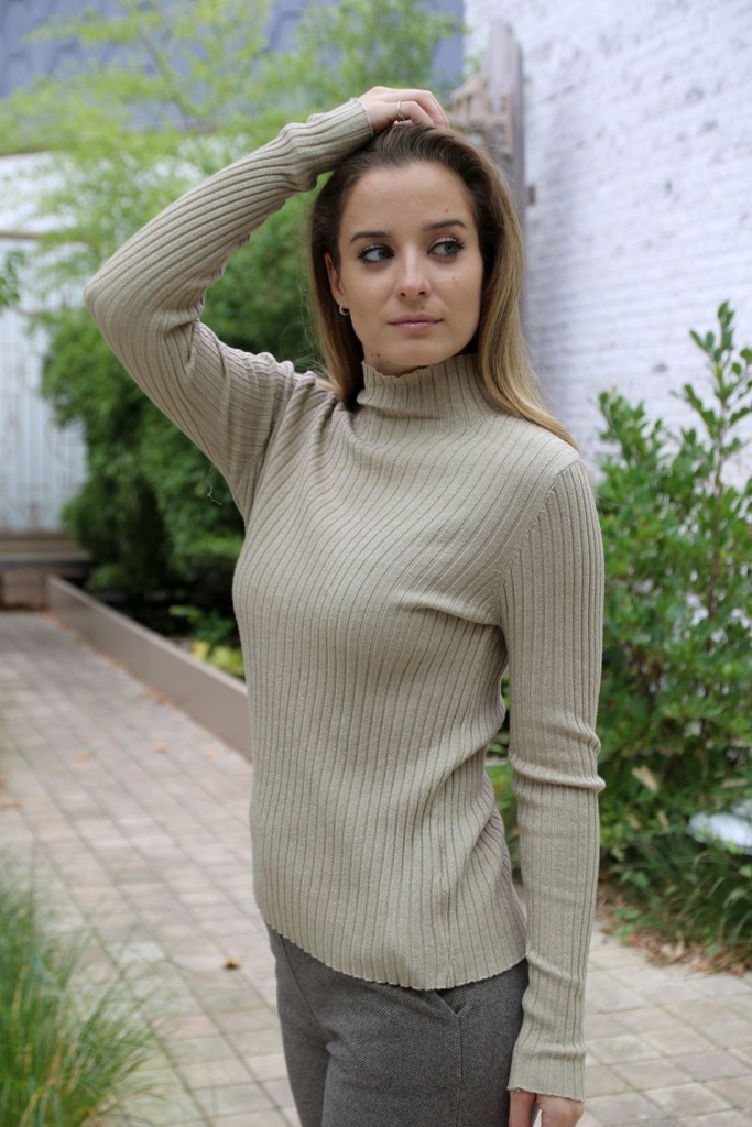 [200690] Pull Noe nm45 glinsterend opstaande kraag - Beige Detail