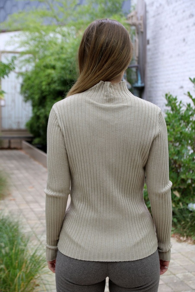 [200690] Pull Noe nm45 glinsterend opstaande kraag - Beige Detail