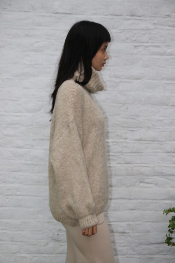 [200699] Tricot pull Nigel nm18 hoge rolkraag - Beige Detail
