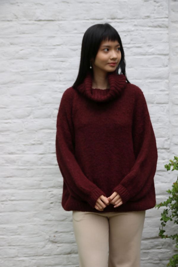 [200699] Tricot pull Nigel nm18 hoge rolkraag - Bordeax Detail
