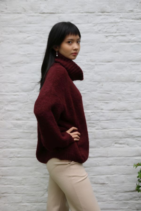 [200699] Tricot pull Nigel nm18 hoge rolkraag - Bordeax Detail