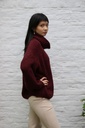 [200699] Tricot pull Nigel nm18 hoge rolkraag - Bordeax Detail