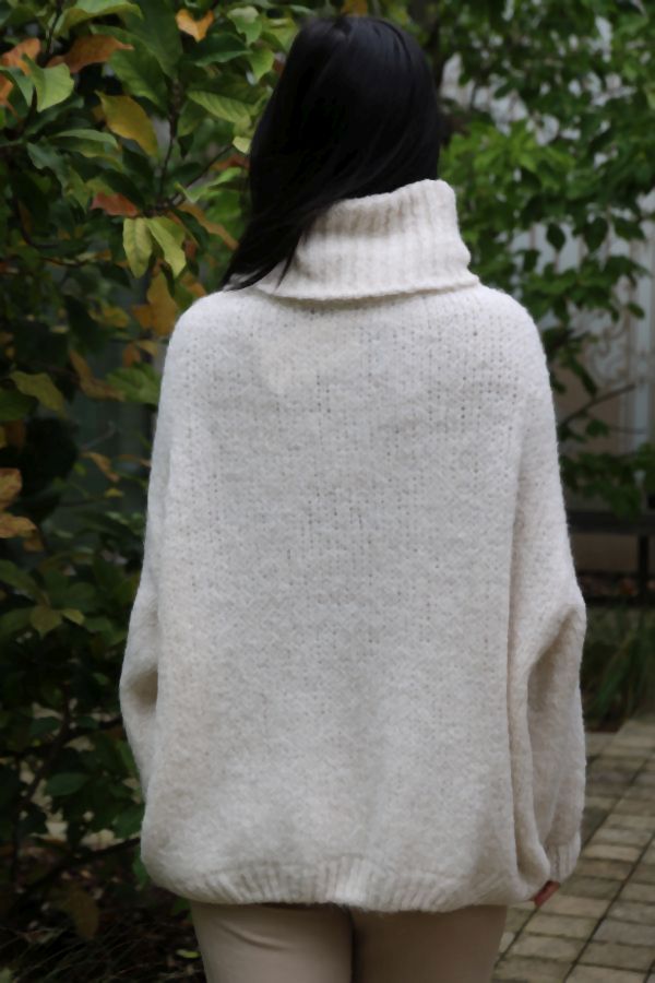 [200699] Tricot pull Nigel nm18 hoge rolkraag - Wolwit Detail