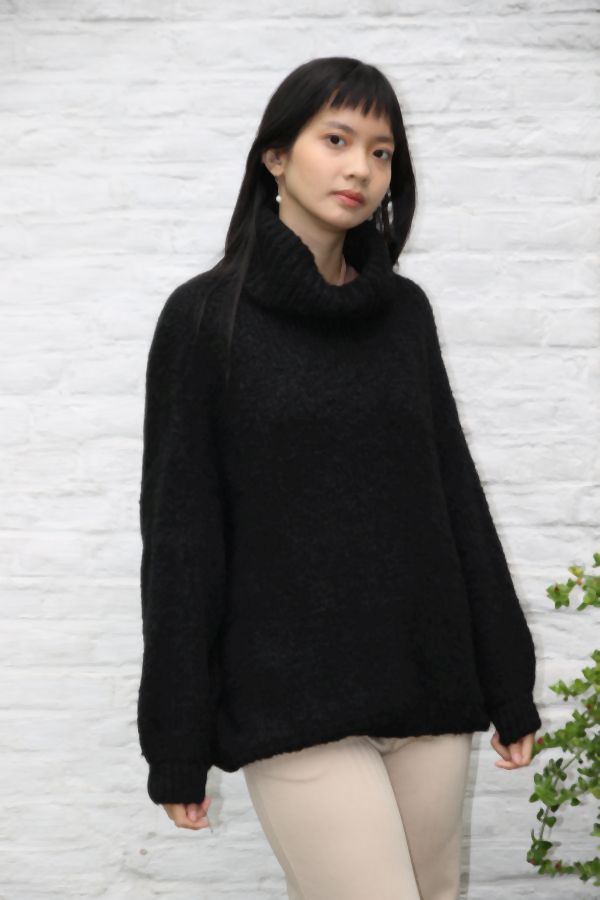 [200699] Tricot pull Nigel nm18 hoge rolkraag - Zwart Detail
