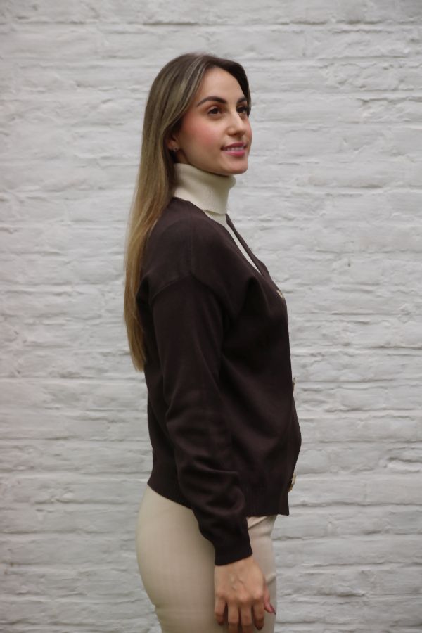Cardigan Miran met gouden sierbroches nm52 - Bruin Detail