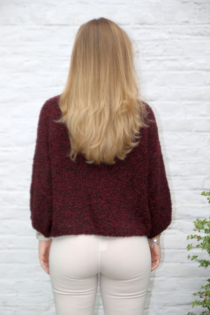 Pul Levy nm30 bouclé stand-up collar - Bordeaux Detail