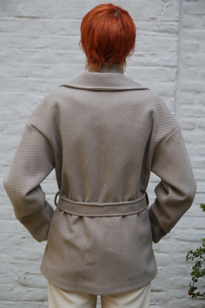 [10017496] Korte jas Lizze 20nm grote puntkraag  - Taupe Detail