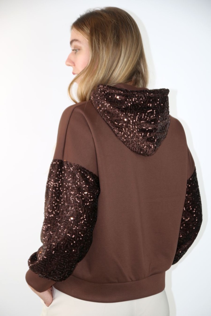 [201070] Sweater met hoodie Peer nm60 ronde hals pajetten op mouwen en kap - Bruin Detail
