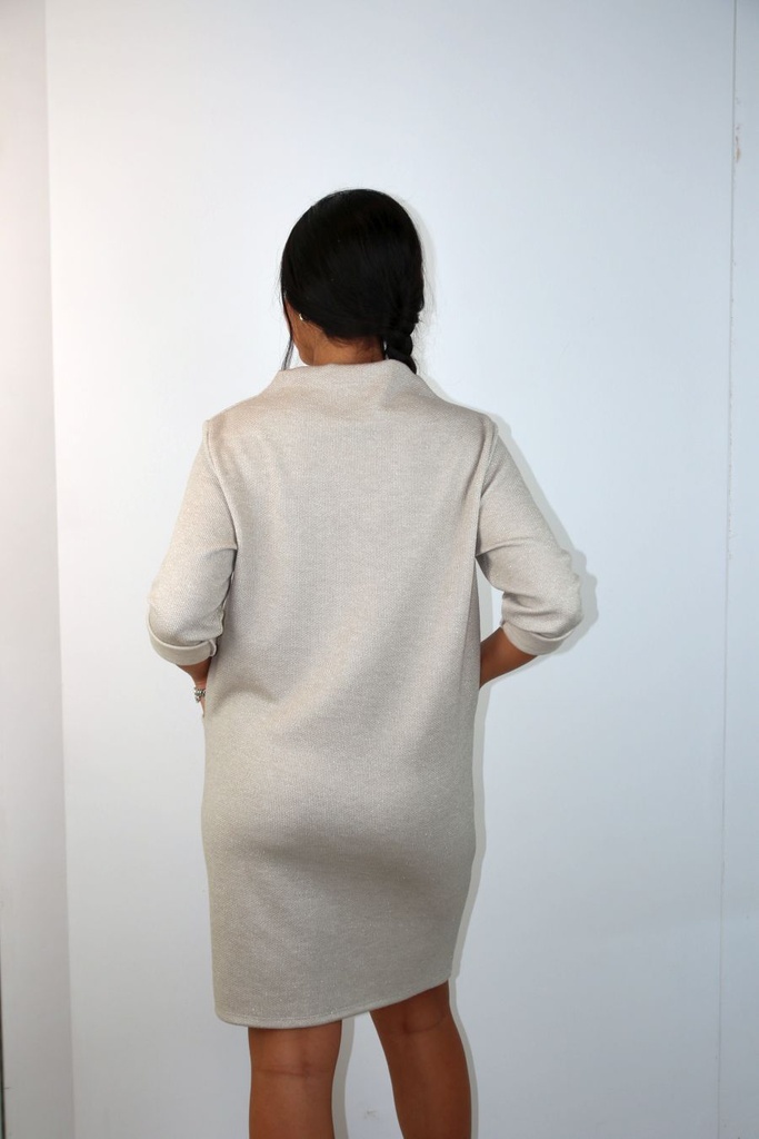 [201084] Jurk Niamh nm20 lurex opstaande kraag  - Beige Detail