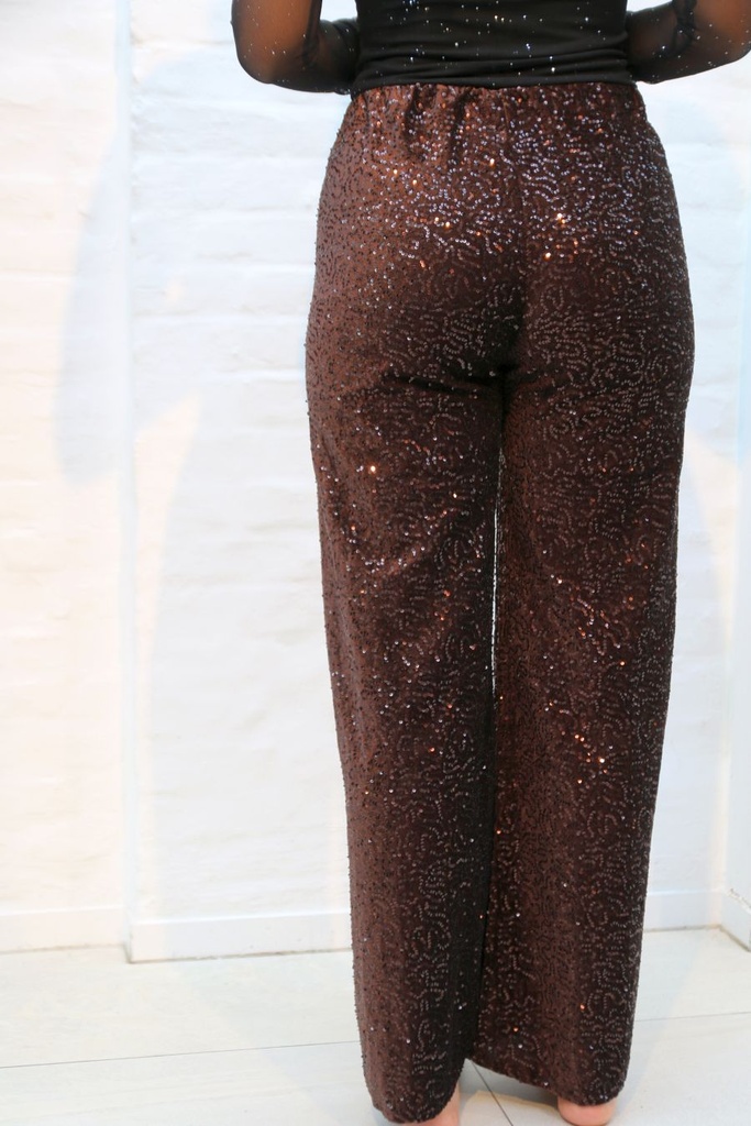 [201011] Liesje nm38 glamy flarebroek - Bruin Detail