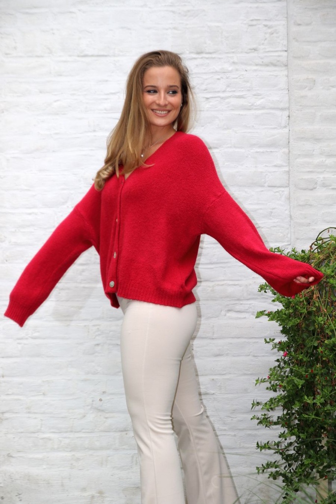 Cardigan Larissa nm25 V-neck 4 nacre buttons contains baby alpaga and wool - Rood Detail