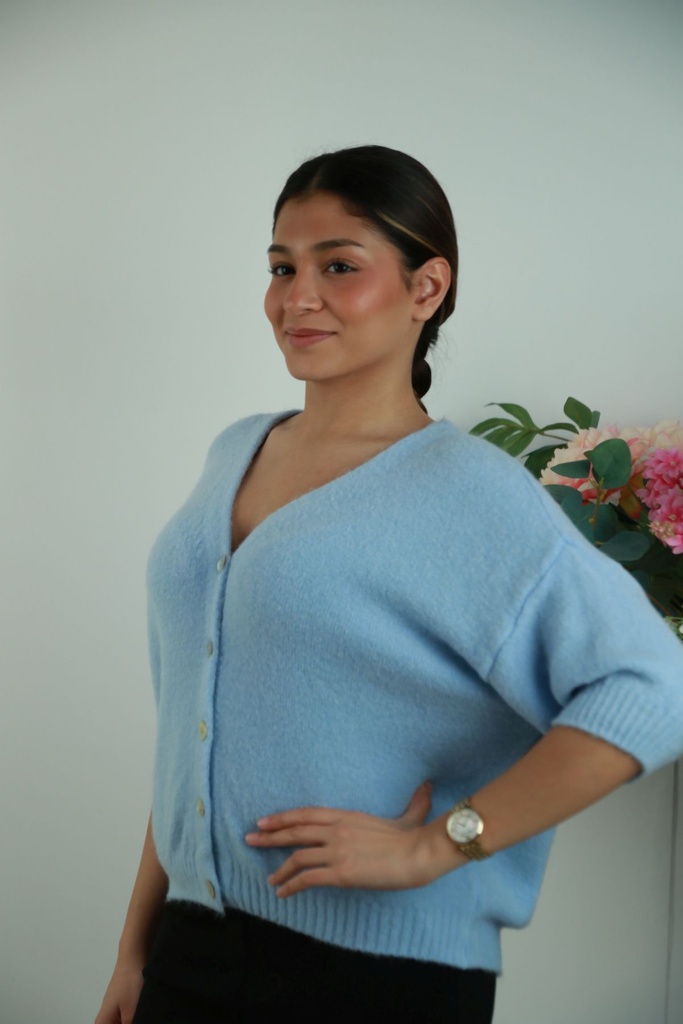 [201403] Cardigan Sander nm25 suri alpaca, V-hals nacré knopen - Lichtblauw Detail