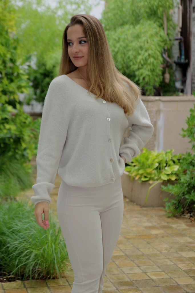 Cardigan Leroy 5 nacrÃ© knopen nm25 kraagloze V-hals - Beige Detail