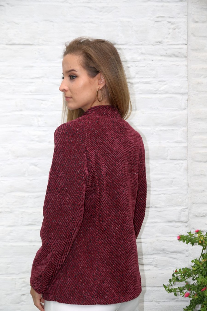Tricot vest Linne diagonale streepjacquard - Bordeaux-zwart Detail