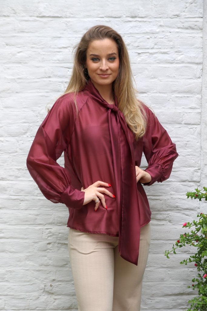 [10017358] Blouse Lesley nm85 tencel lange jabot  - Bordeaux Detail
