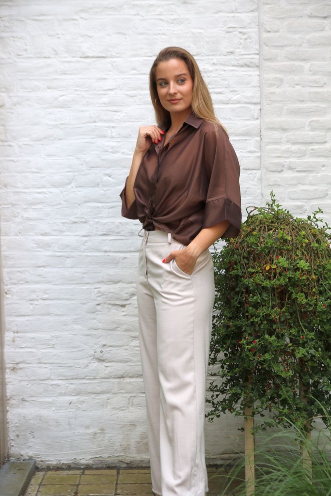 Blouse Jacomina shintz - Bruin Detail