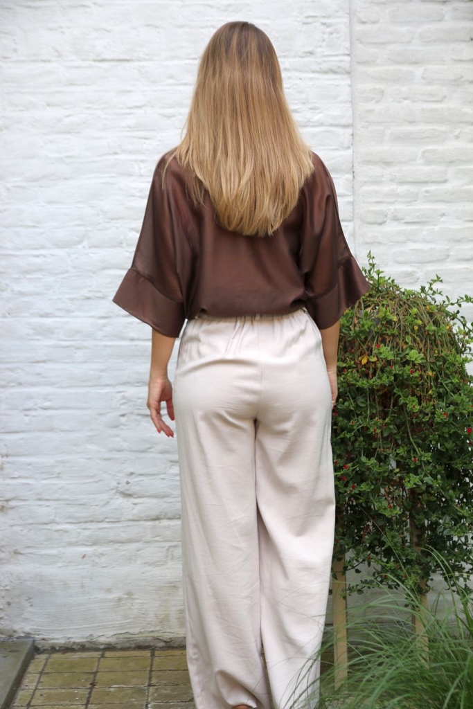 Blouse Jacomina shintz - Bruin Detail