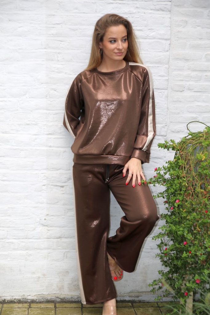 [10017383] Broek Leonora nm22 metaalcoating en zijbies rechte pijp - Brons-beige Detail