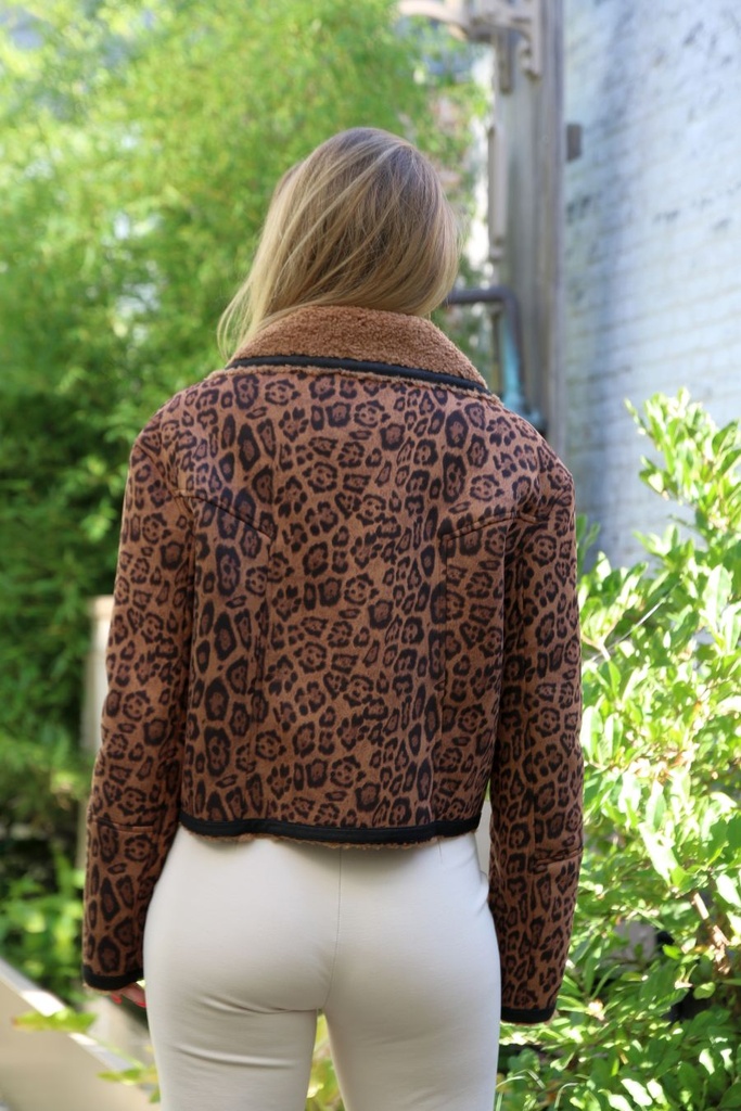 Jacket Lucian jachtluipaard  teddy puntkraag schuine rits omkeerbaar - Camel-zwart Detail