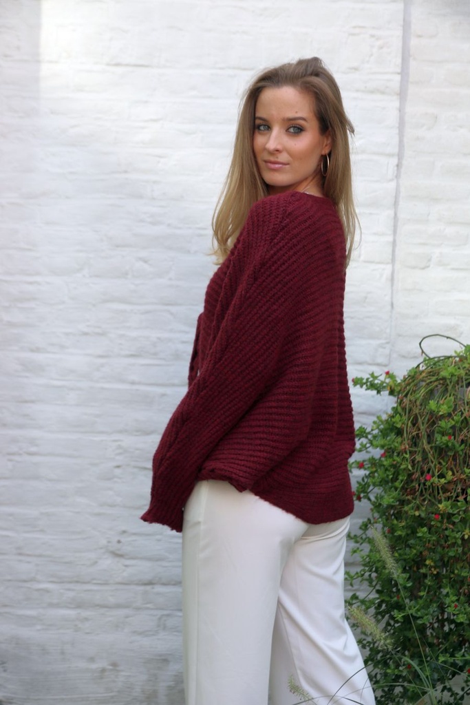 [10017432] Cardigan Lela nm26 XL bolero vleermuismouw lintsluiting  - Bordeaux Detail