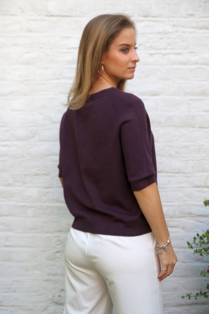 [10017306] Pull Mehmet ronde hals - Aubergine Detail