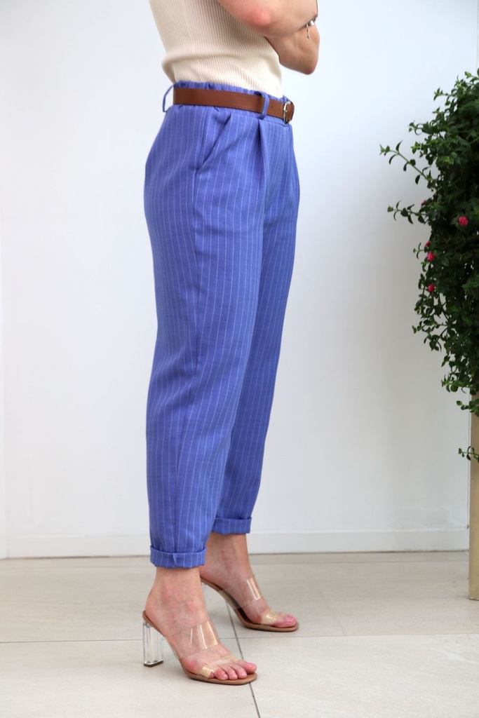 Pantalon à pinces Janiek