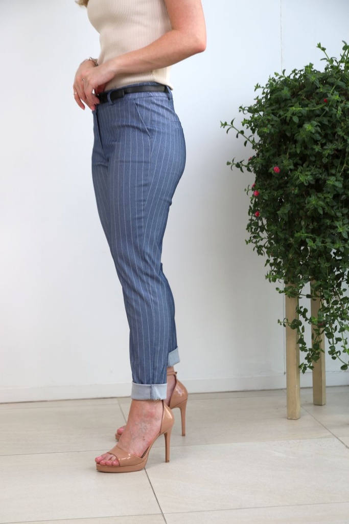 Pantalon skinny Jayleigh à rayures