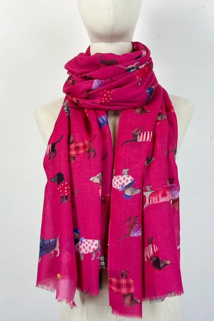 Scarf Jude dachshund with body warmer
