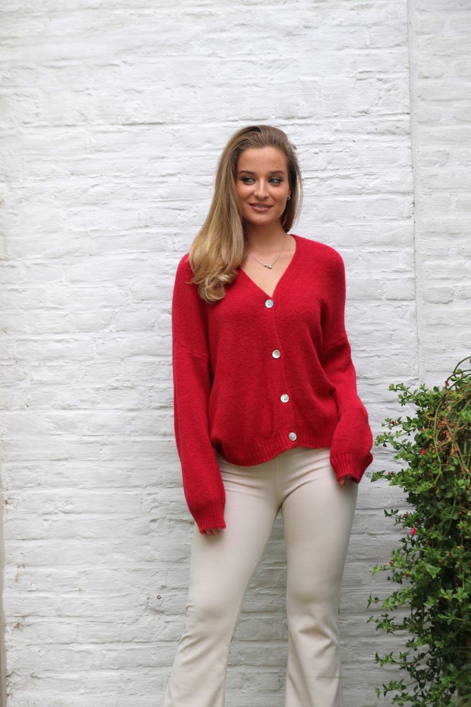 Cardigan Larissa nm25 col en V 4 boutons en nacre contient du baby alpaga et de la laine