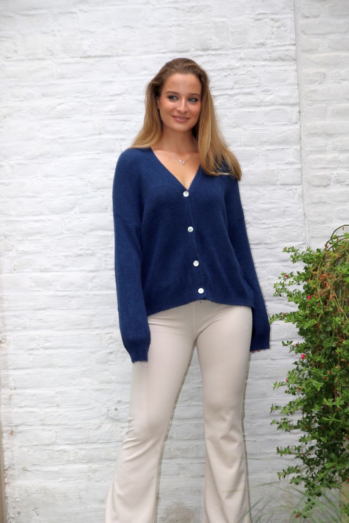 Cardigan Larissa nm25 V-neck 4 nacre buttons contains baby alpaga and wool
