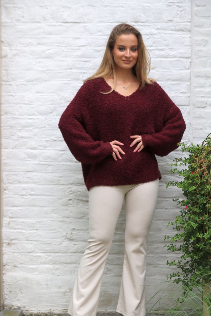 Pul Lente nm22 bouclÃ© V-hals bevat alpaga en wol