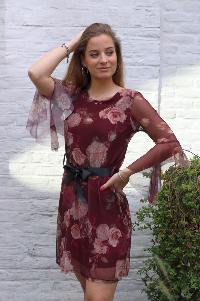 Blouse Lodewijk nm38 rozen op netstof trompetmanchet 