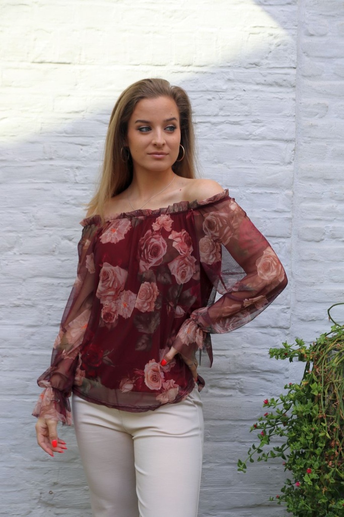 Blouse Leya nm43 rozen netstof off-shoulder manchetvolant