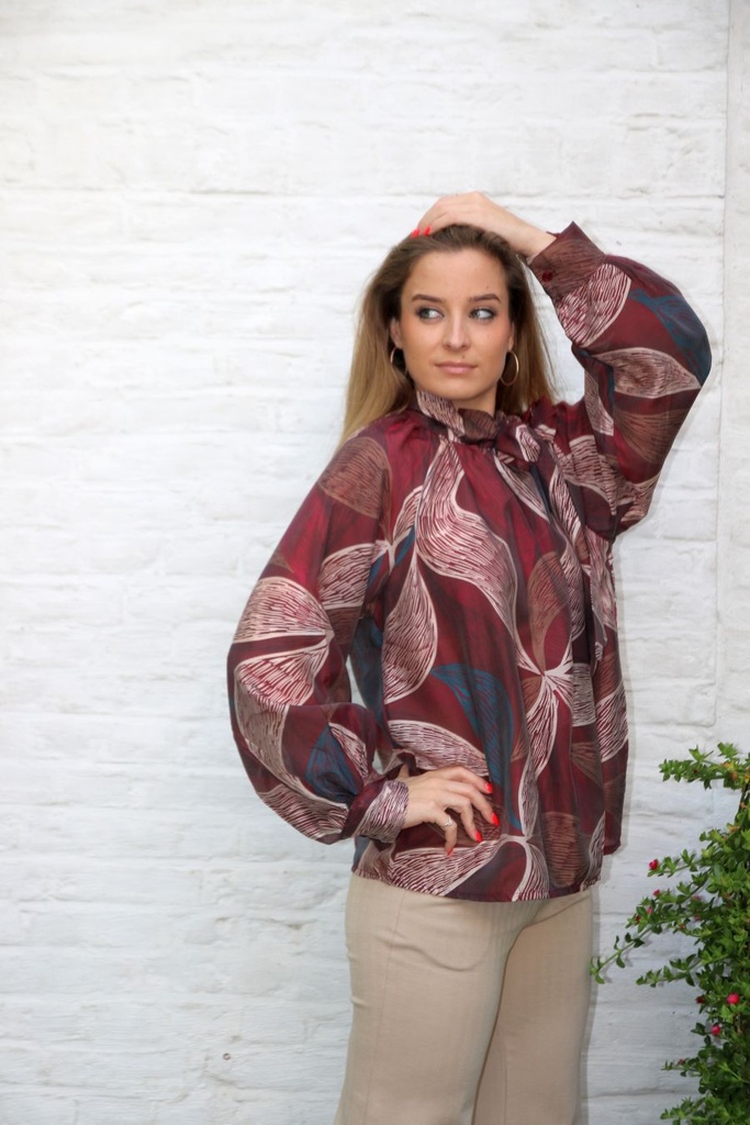 Blouse Linus nm85 jabotkraag netslierten tencel 