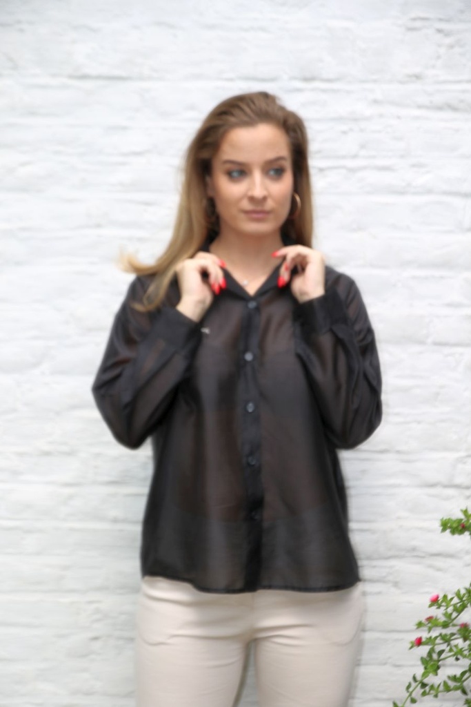 Blouse  Lisan nm85 matte satijn kraag nacré doorgeknoopt 