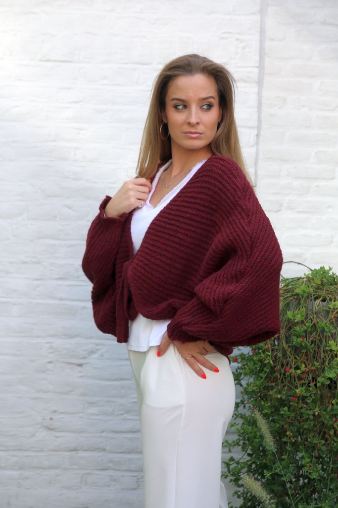 Cardigan Lela nm26 XL bolero vleermuismouw lintsluiting 