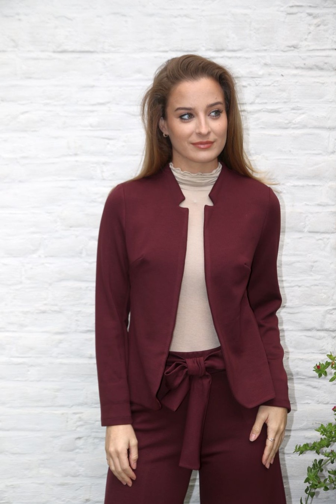 Blazer Lenka nm38 fijn geribd reverskraag