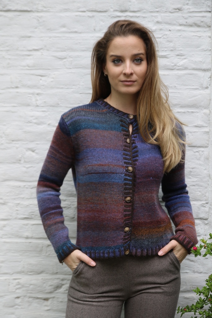 Cardigan Luisa nm53 ingebreide dégradé ronde hals 