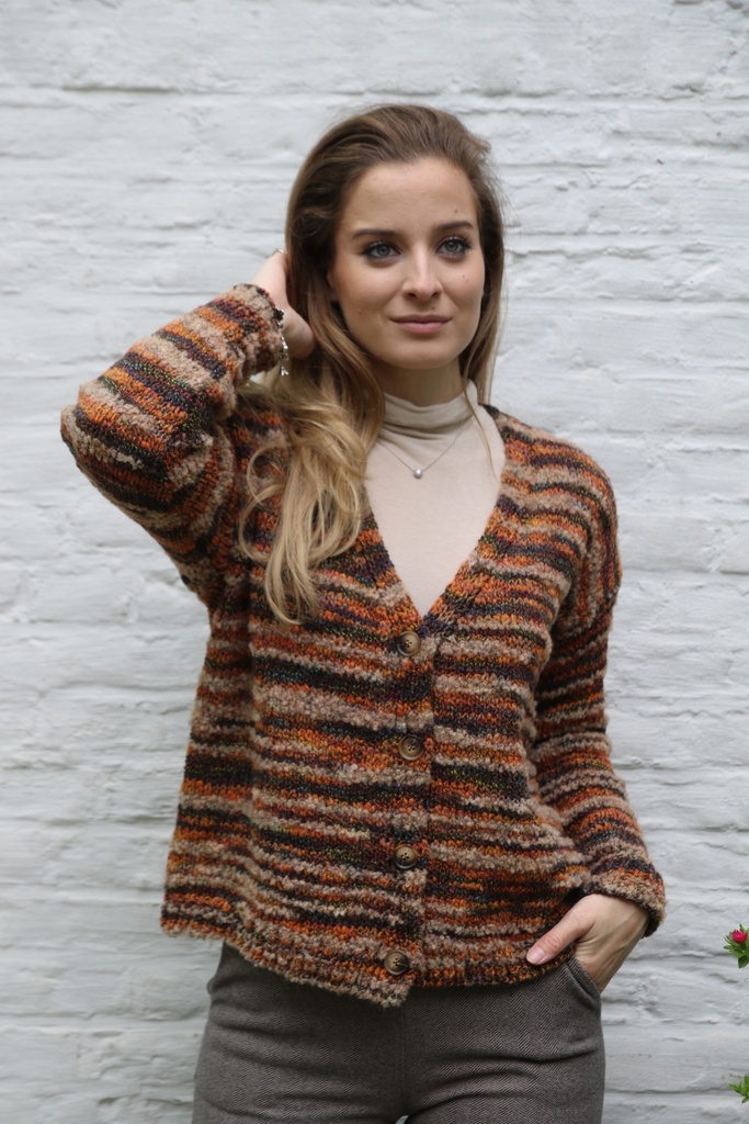 Tricot cardigan Nisa nm 36 in boucléstof v-hals knopen