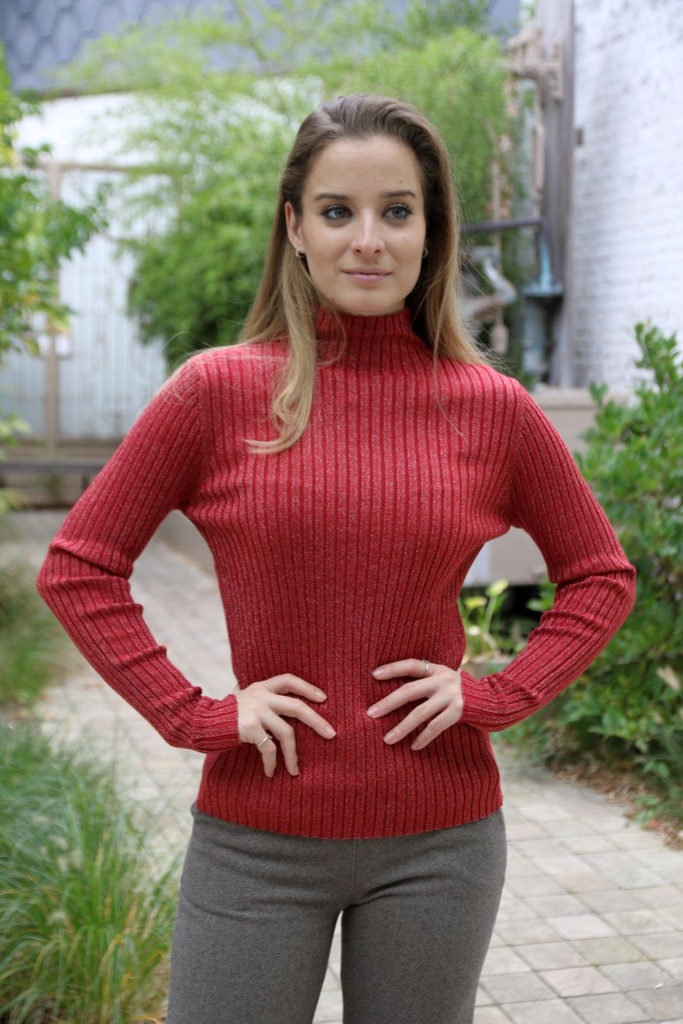 Pull Noe nm45 glinsterend opstaande kraag