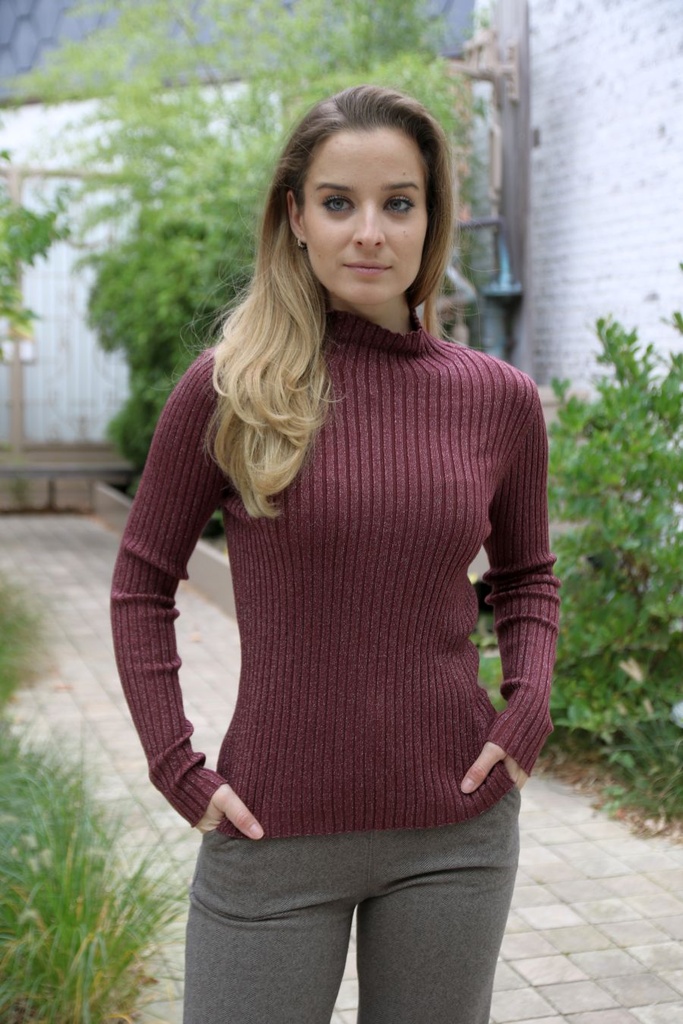 Pull Noe glinsterend opstaande kraag