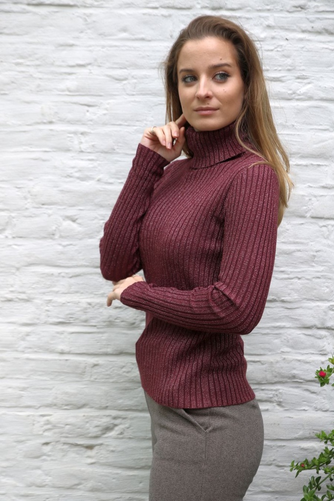 Pull Nour nm45 geribd glamy rolkraag