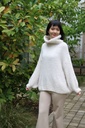 Tricot pull Nigel nm18 hoge rolkraag