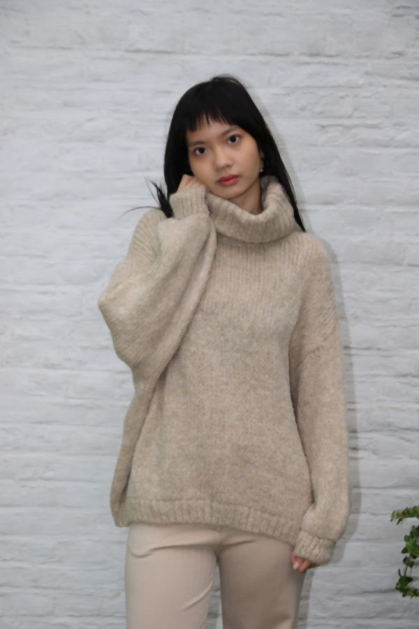 Tricot pull Nigel nm18 hoge rolkraag