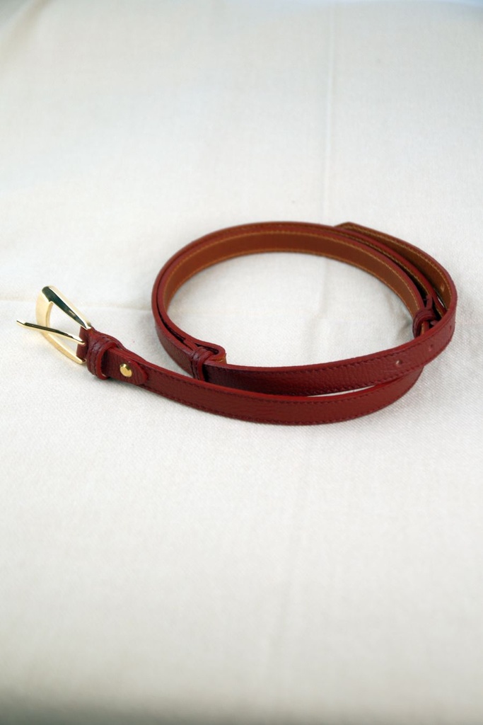 Centuur Larien nm100 2cm langwerpig vergulde gesp overslag