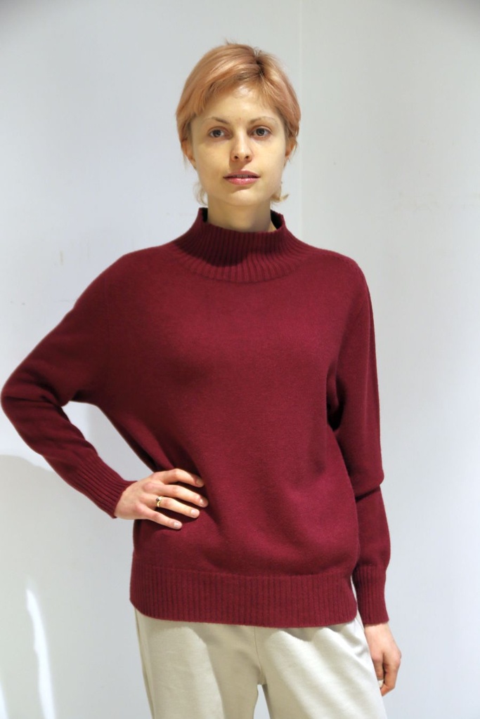 Tricot pull Natalie nm50  opstaande kraag